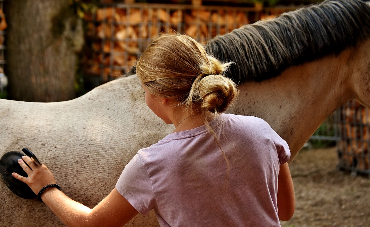 senior horse annual checkup
